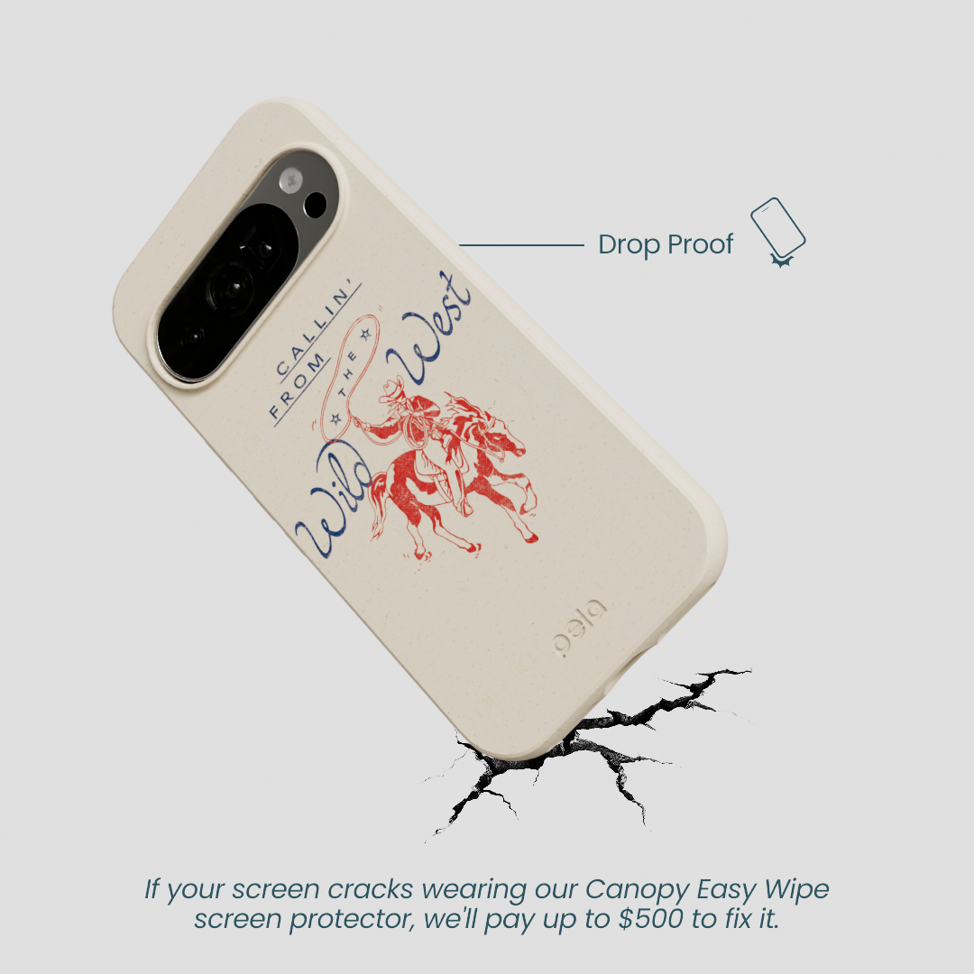 London Fog Wild West Calling Google Pixel 10/10 Pro Case