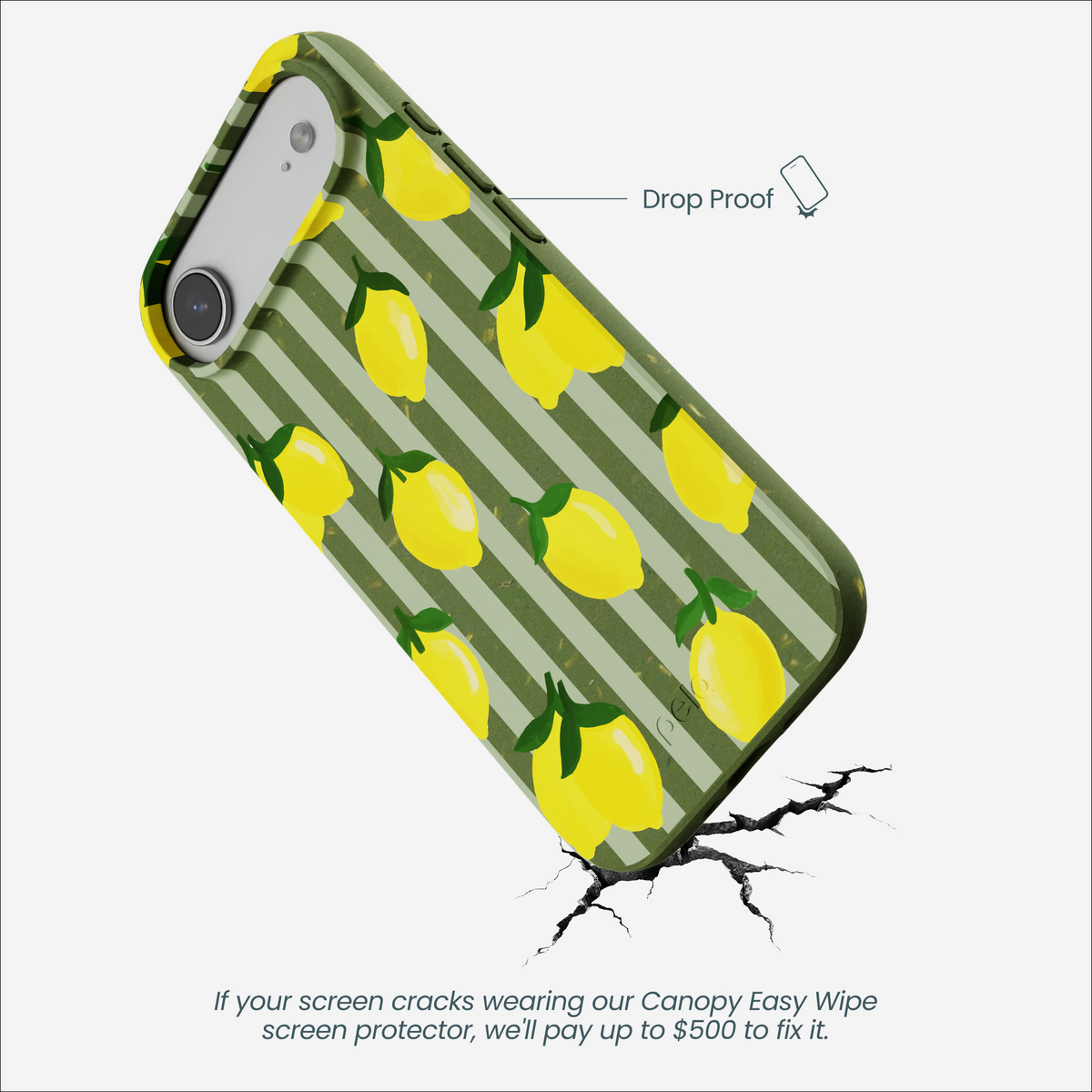 Forest Floor Zesty Lines iPhone Air Case