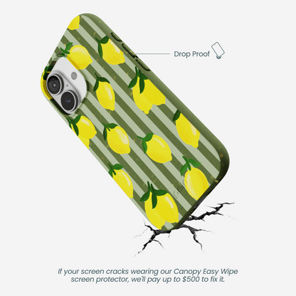 Forest Floor Zesty Lines iPhone 17 Case